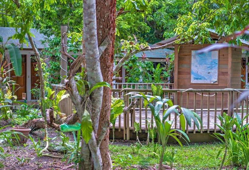 هتل Jaguar Inn Tikal