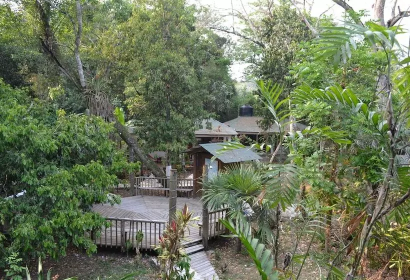 هتل Jaguar Inn Tikal