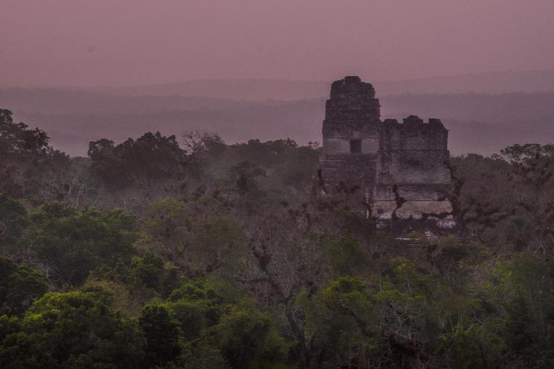هتل Jaguar Inn Tikal