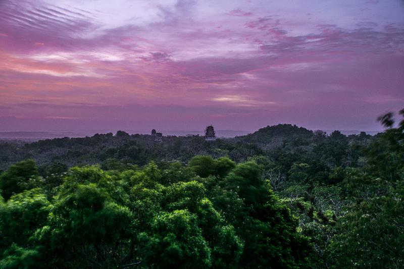 هتل Jaguar Inn Tikal