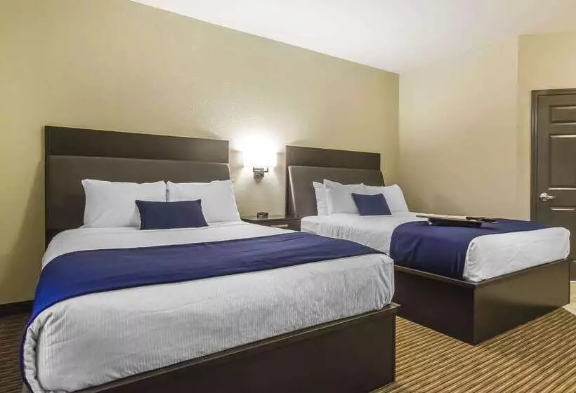ホテル Quality Inn & Suites