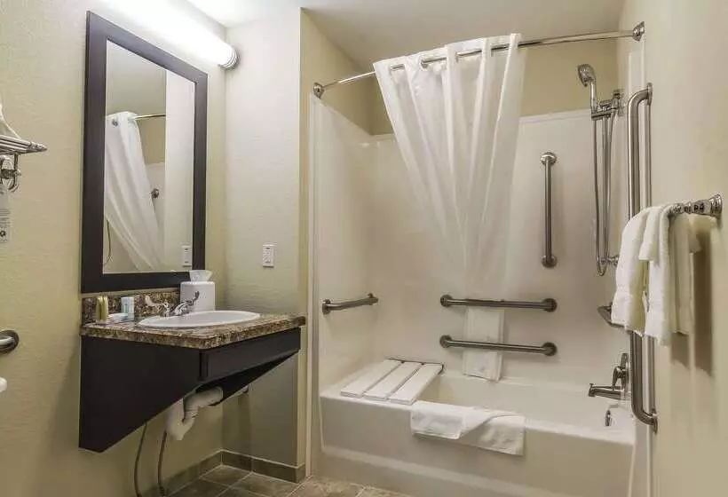 ホテル Quality Inn & Suites