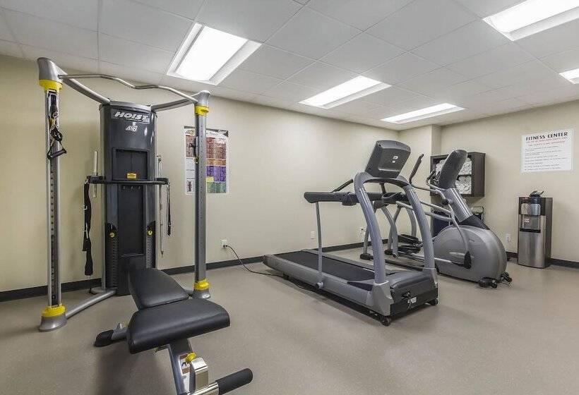 فندق Quality Inn & Suites