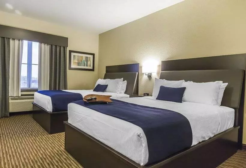ホテル Quality Inn & Suites