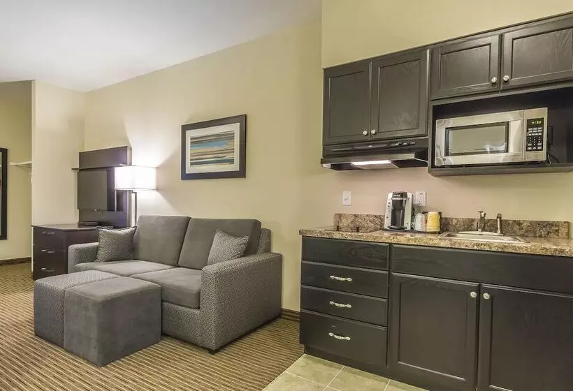 ホテル Quality Inn & Suites