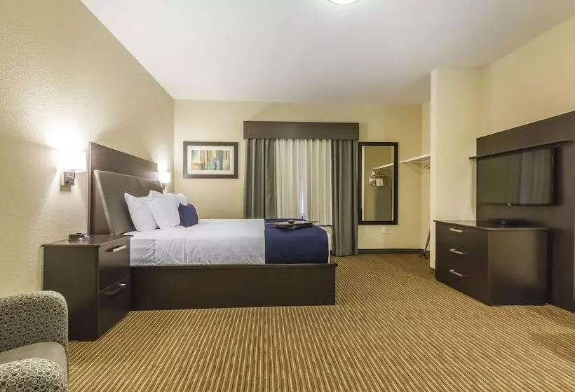 ホテル Quality Inn & Suites