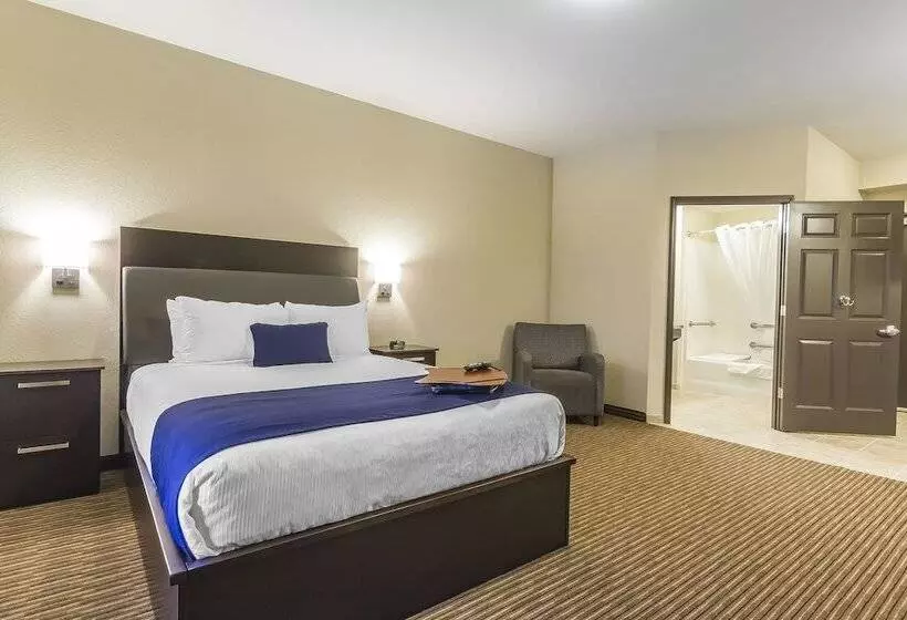 ホテル Quality Inn & Suites