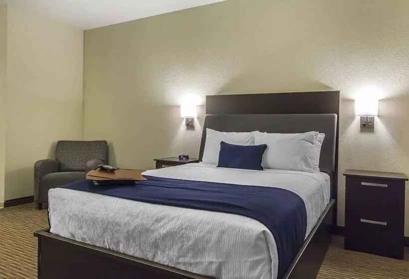 ホテル Quality Inn & Suites