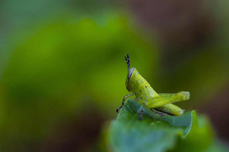 Tifakara Boutique Hotel & Birding Oasis