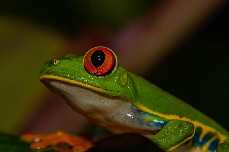 Tifakara Boutique Hotel & Birding Oasis