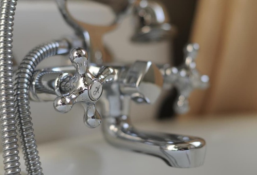 פנסיון Abbey Manor Luxury Guesthouse