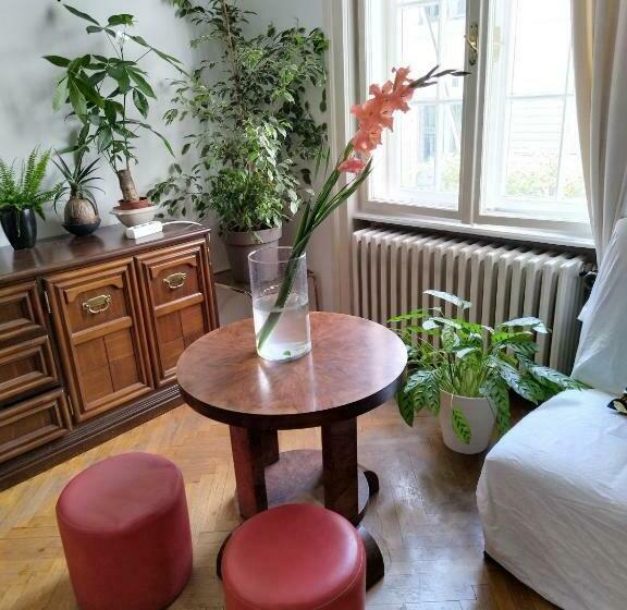 هاستل Monica S House