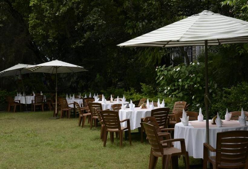 酒店 Norling House