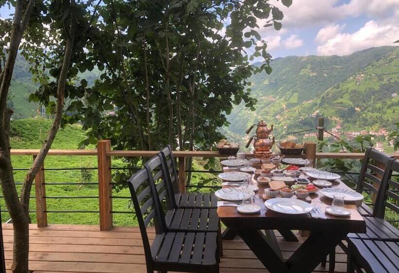 Aamiaismajoitus (B&B) şeni Bungalow