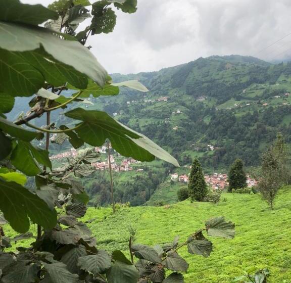 Aamiaismajoitus (B&B) şeni Bungalow