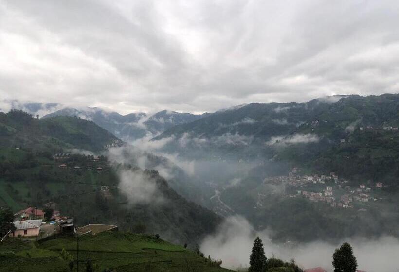 Aamiaismajoitus (B&B) şeni Bungalow