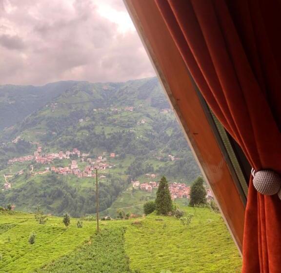 Aamiaismajoitus (B&B) şeni Bungalow