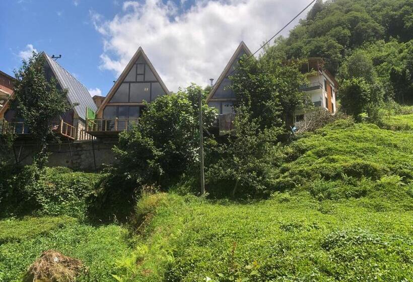 Aamiaismajoitus (B&B) şeni Bungalow