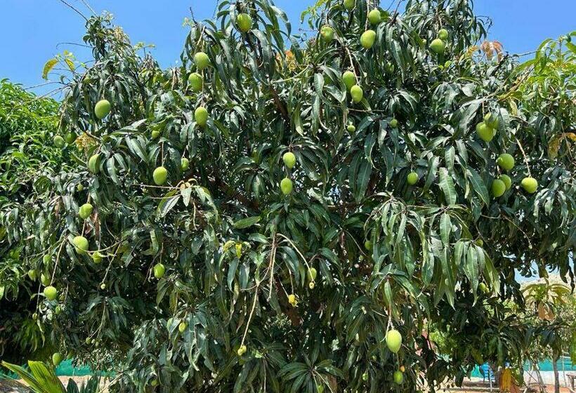 فندق Santhrupthi Farmstay