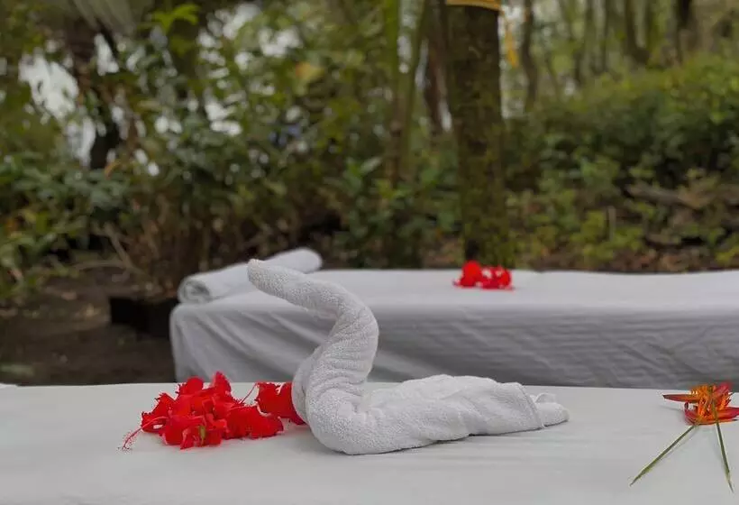 Hotelli Carey Lodging