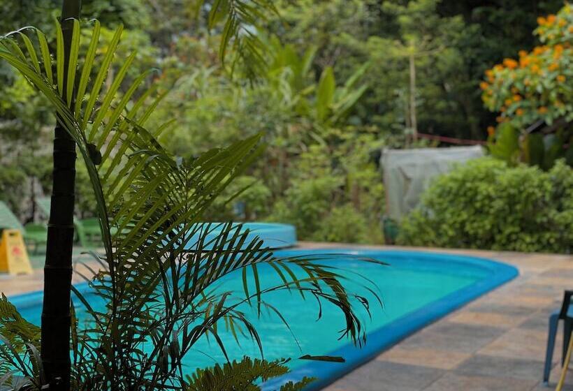 هتل Carey Lodging