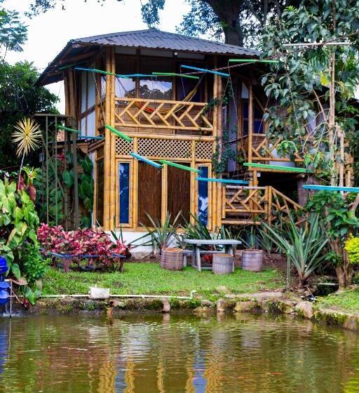 Hotel Casa Del árbol, Romántico, Piscina, En Chinauta, El Mejor Clima