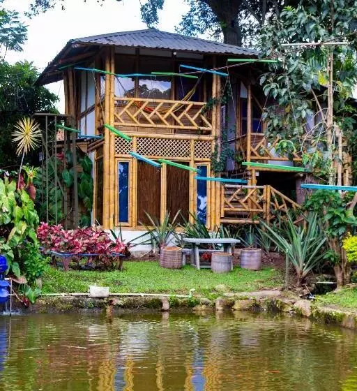Hotelli Casa Del árbol, Romántico, Piscina, En Chinauta, El Mejor Clima