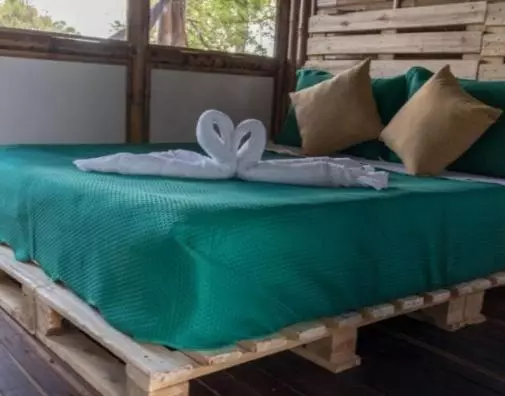 Hotelli Casa Del árbol, Romántico, Piscina, En Chinauta, El Mejor Clima