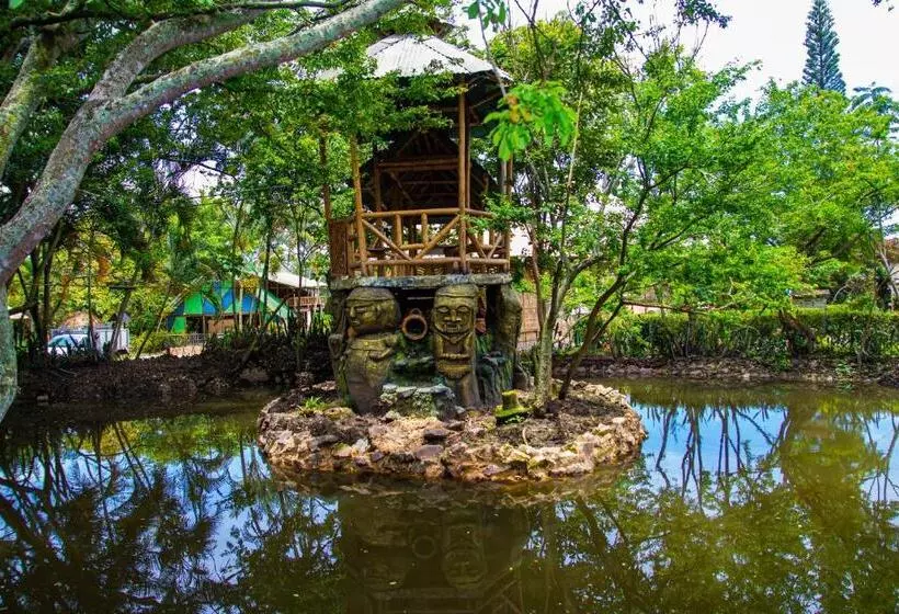 Hotelli Casa Del árbol, Romántico, Piscina, En Chinauta, El Mejor Clima