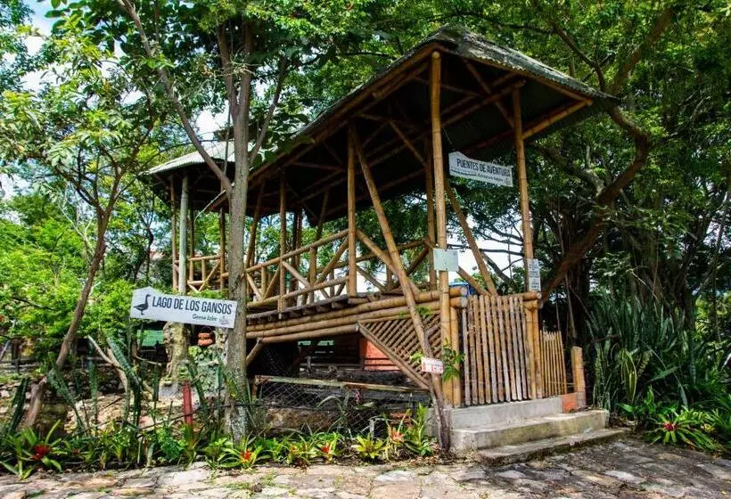 Hotelli Casa Del árbol, Romántico, Piscina, En Chinauta, El Mejor Clima