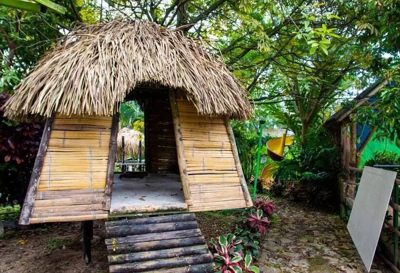 Hotelli Casa Del árbol, Romántico, Piscina, En Chinauta, El Mejor Clima