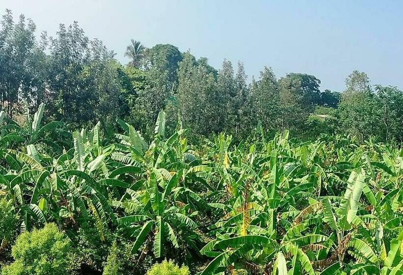 Отель Sns Organic Farm Stay