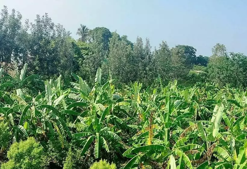 ホテル Sns Organic Farm Stay