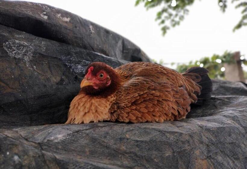 Отель Sns Organic Farm Stay