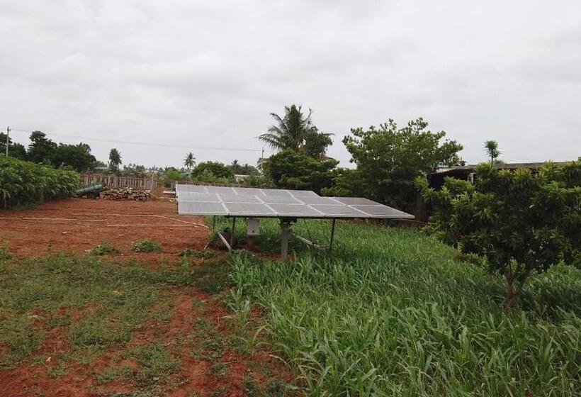 Отель Sns Organic Farm Stay