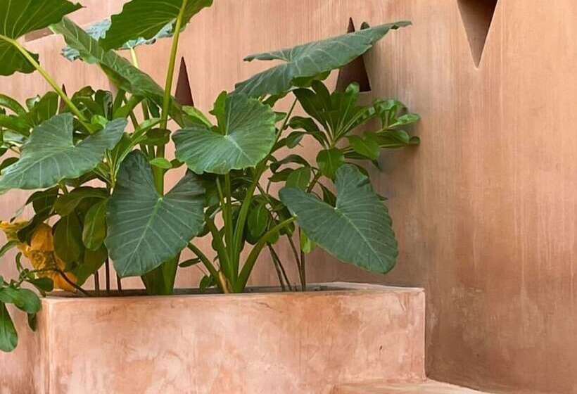 酒店 Punta Navi Adults Only Boutique