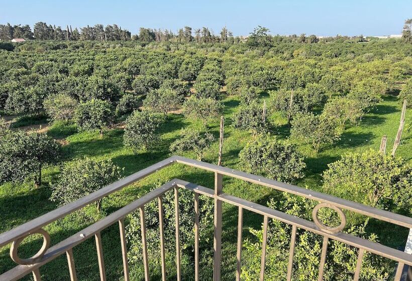 Отель Tenuta Macconi Country Rooms