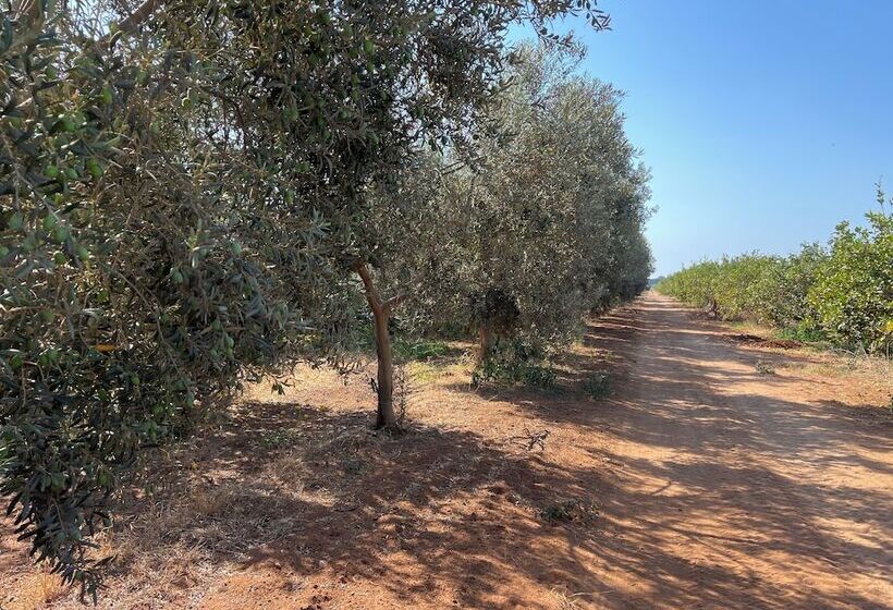 Отель Tenuta Macconi Country Rooms