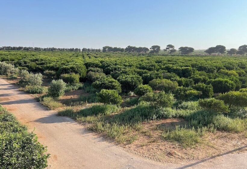 Отель Tenuta Macconi Country Rooms