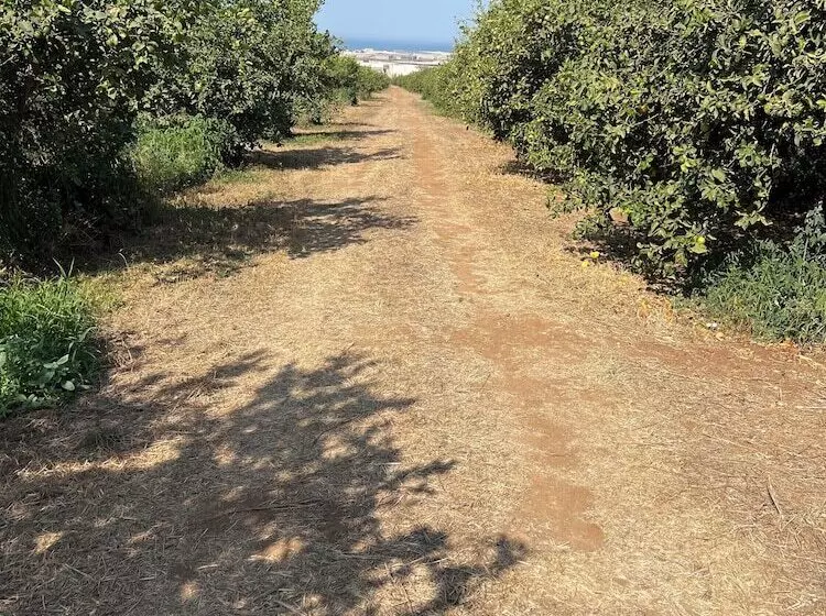 Hotelli Tenuta Macconi Country Rooms