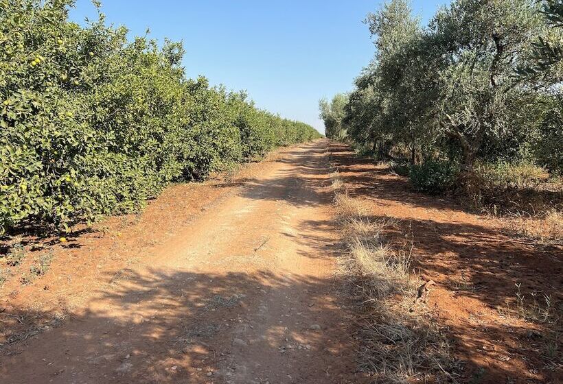 Отель Tenuta Macconi Country Rooms