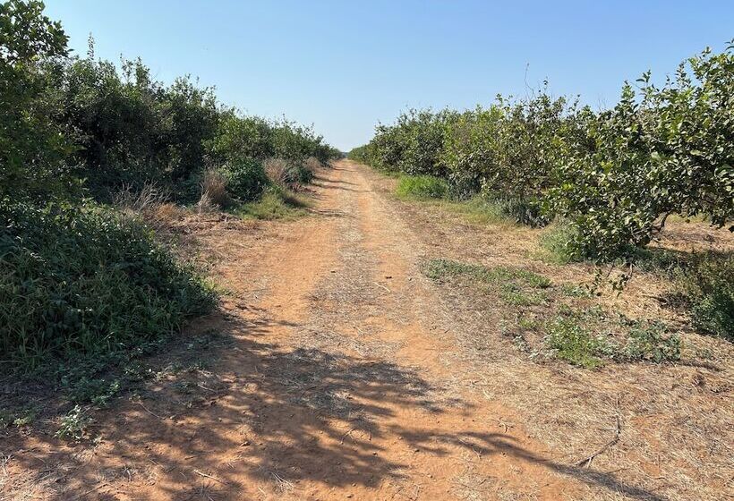 Отель Tenuta Macconi Country Rooms