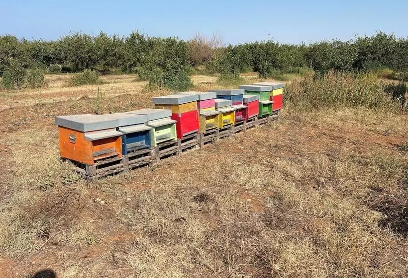 Hotelli Tenuta Macconi Country Rooms