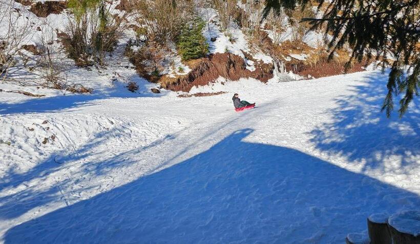پانسیون Cabana Din Vale Arieseni Apuseni