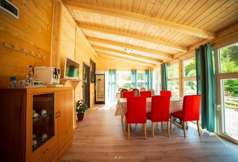 پانسیون Cabana Din Vale Arieseni Apuseni