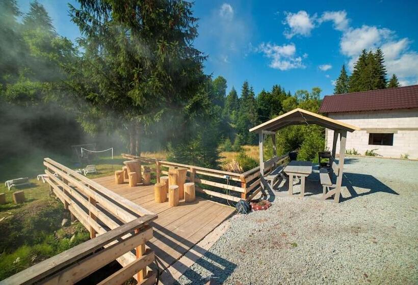 پانسیون Cabana Din Vale Arieseni Apuseni