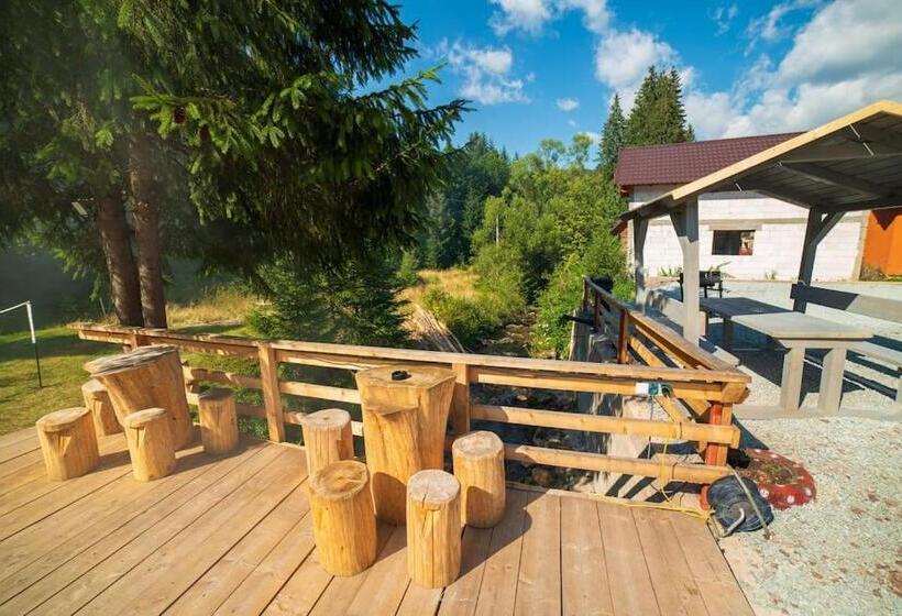 پانسیون Cabana Din Vale Arieseni Apuseni