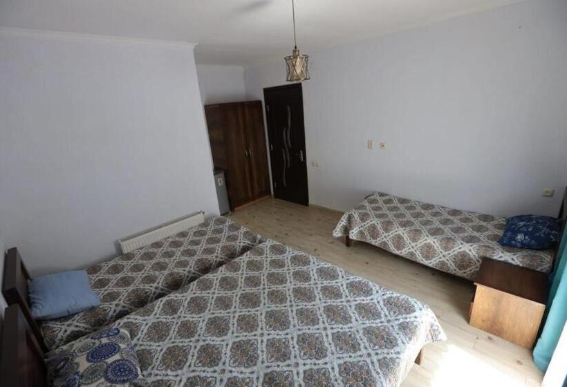 پانسیون Leoni