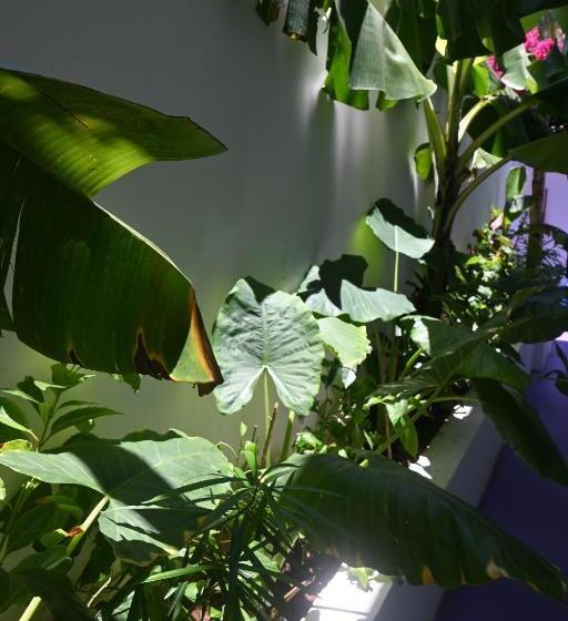 Отель Minted Boutique