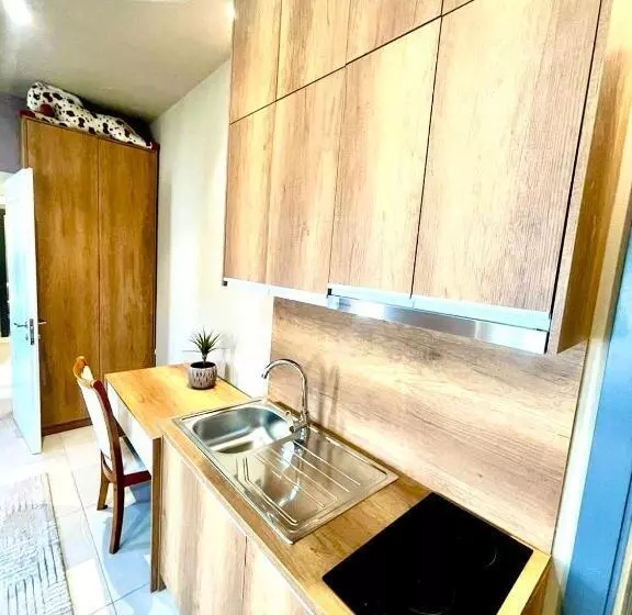 ペンション Alb Apartments